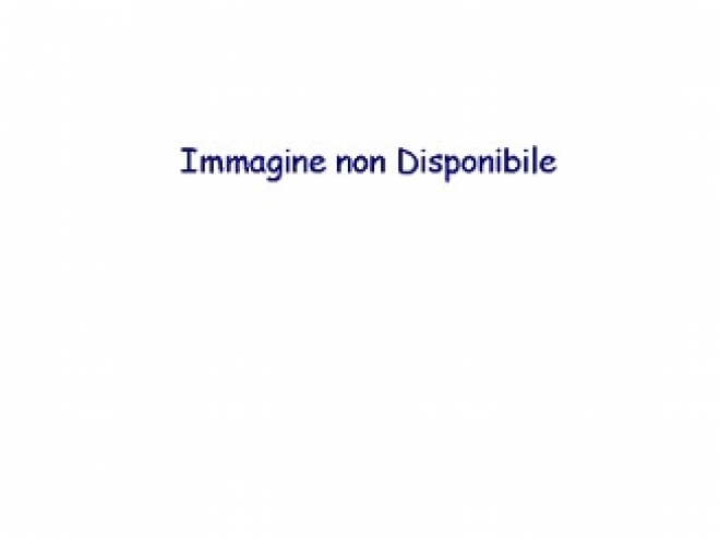 Immagine non DIsponibile