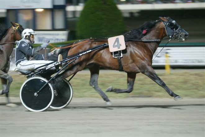 Campionato Europeao Ippica Trofeo Hera Cesena