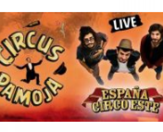 Eventi Spettacolo Circus Pamoja