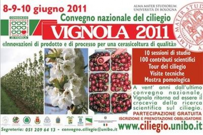 Convegno Nazionale Del Ciliegio