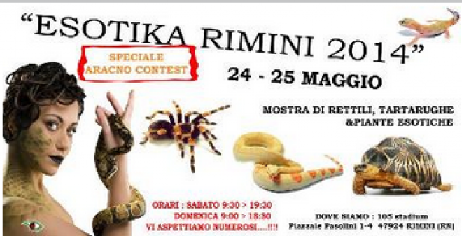 Expo Esotika