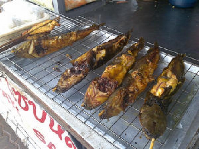 Ferragosto Cesenatico