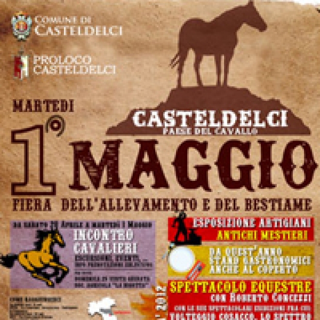 Festa Dei Cavalieri Casteldelci