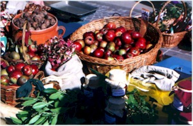 Festa dei Frutti Dimenticati Casola Valsenio