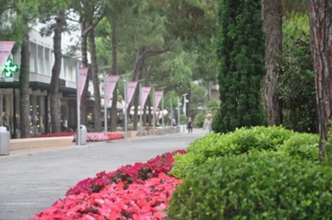 Festa di San Francesco Milano Marittima