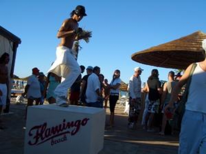 Flamingo Beach Domenica Agosto