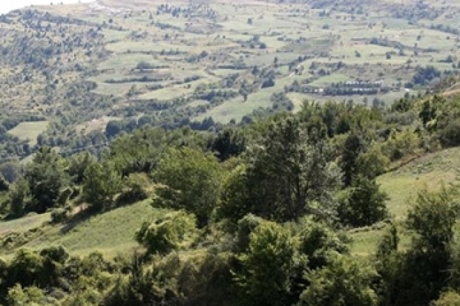 Girotondo Monte Montone