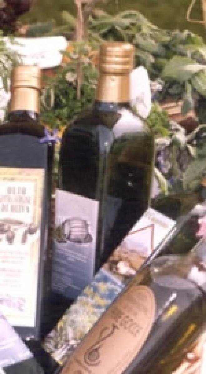 olio novello