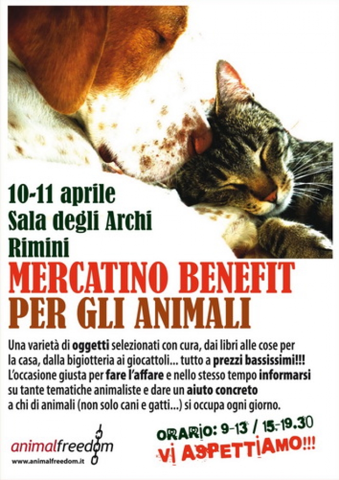 Mercatino Beneficenza Rimini