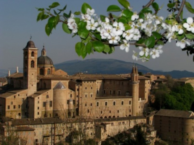 Mercato settimanale Urbino 