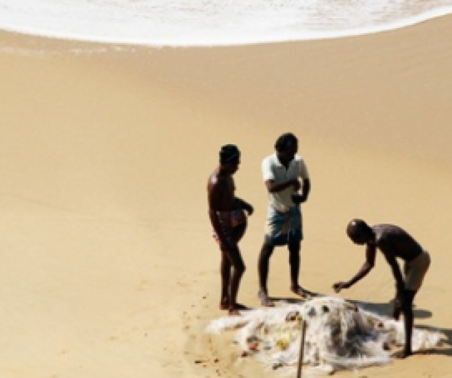 mostra vita acqua  Rimini