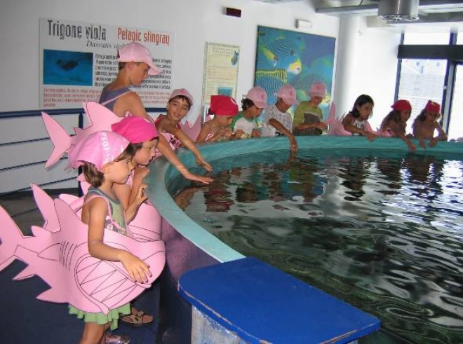 Notte Rosa Acquario Cattolica