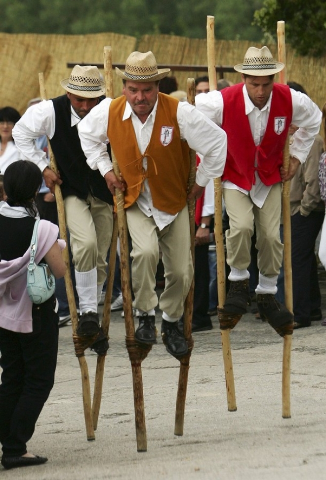 Palio dei trampoli