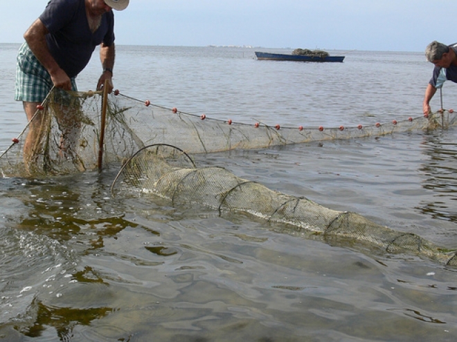 Pesca D Altura Bellaria