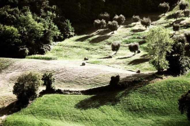 Ripuliamo La Foce Del Nostro Bel Conca