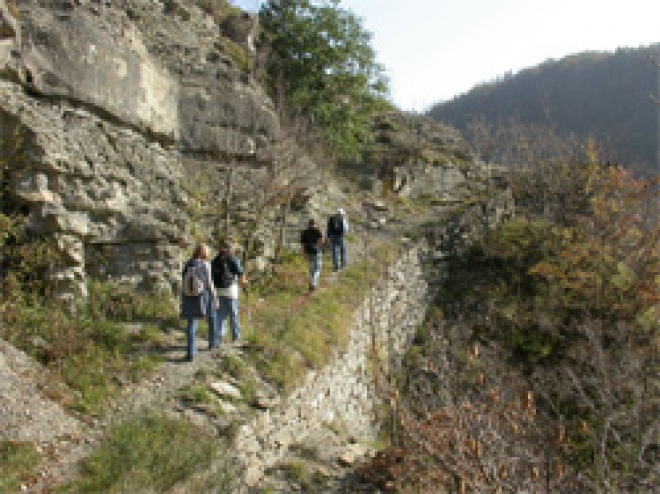 Trekking nella neve 