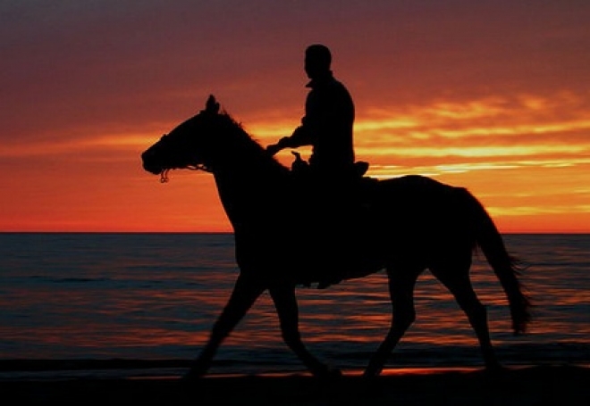 A Cavallo Del Mare Cervia 2013