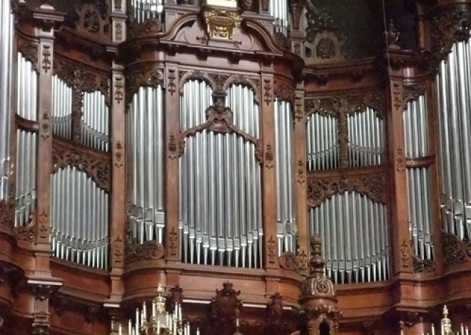 Cattedrale di Fano Festeggia