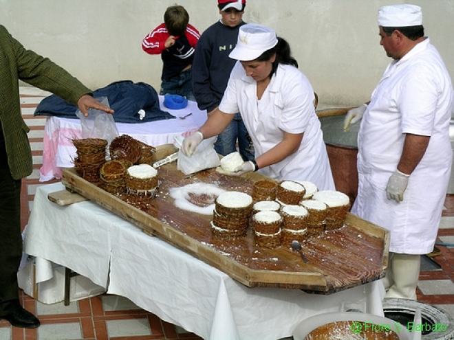 Divertimento per tutti con le sagre faentine