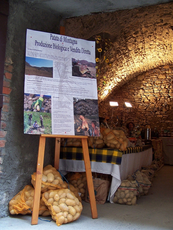 Eccellente agricoltura biologica a Sadurano 