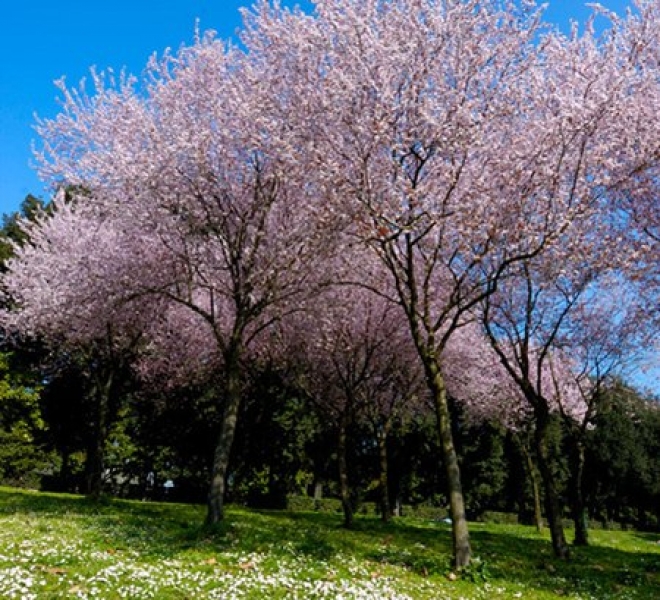 Pasqua Emilia Romagna