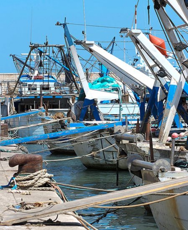 Fermo Pesca Adriatico