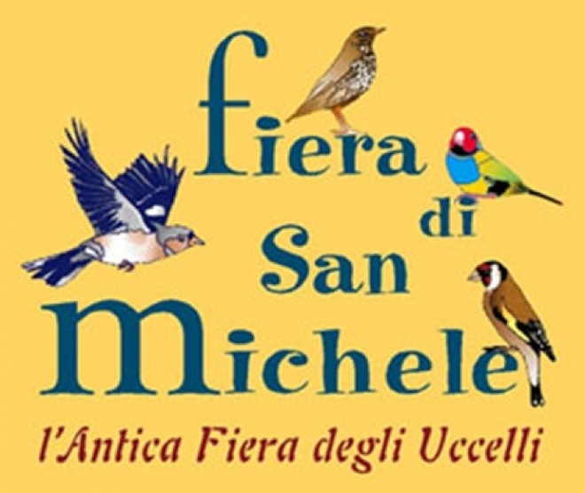 Fiera San Michele 2010 Santarcangelo