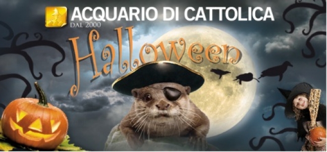 Halloween Acquario Le Navi Cattolica 2012