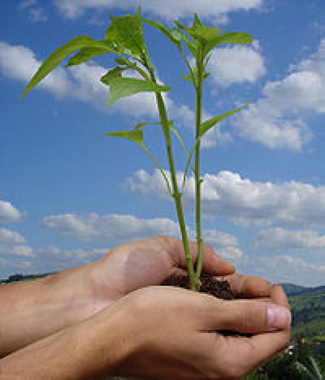 Hotel Verdi che rispettano l'ambiente