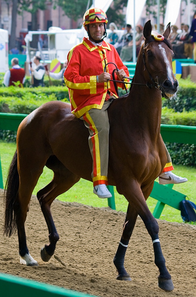 In 4mila per la prima serata del Palio del Daino