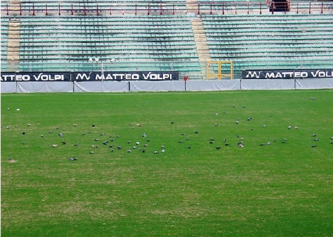 Incognite Stadio Neri Rimini