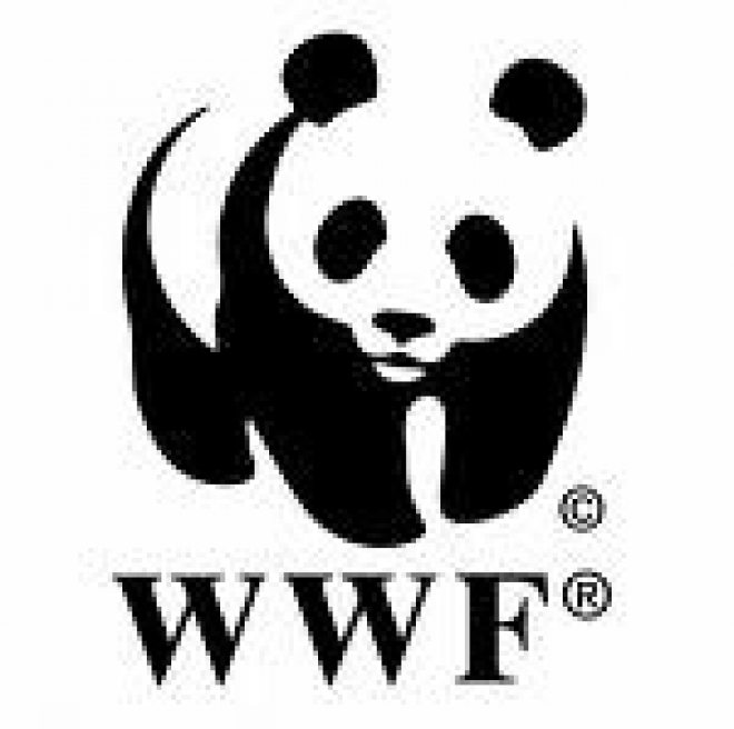 Iscrizioni WWF Rimini