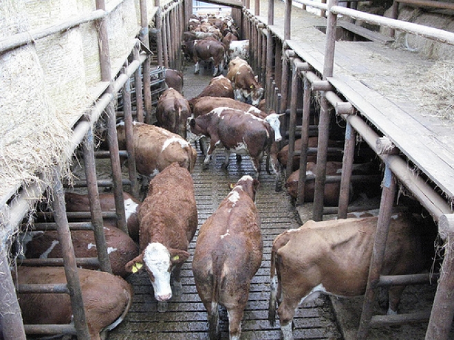 L’alta Valmarecchia produrrà presto biogas