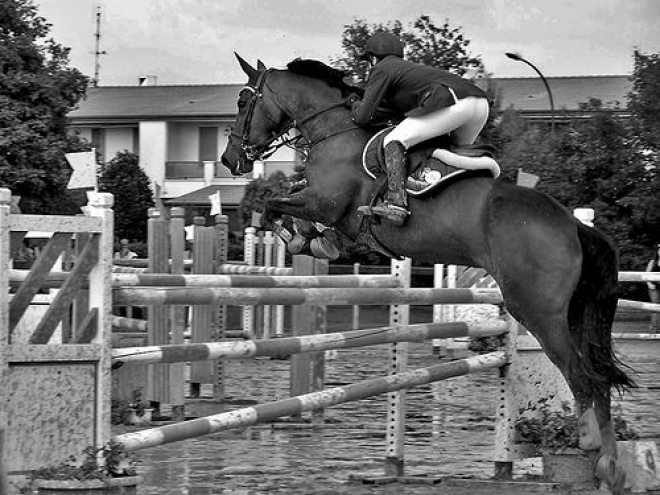 Le Siepi Ippica Cervia