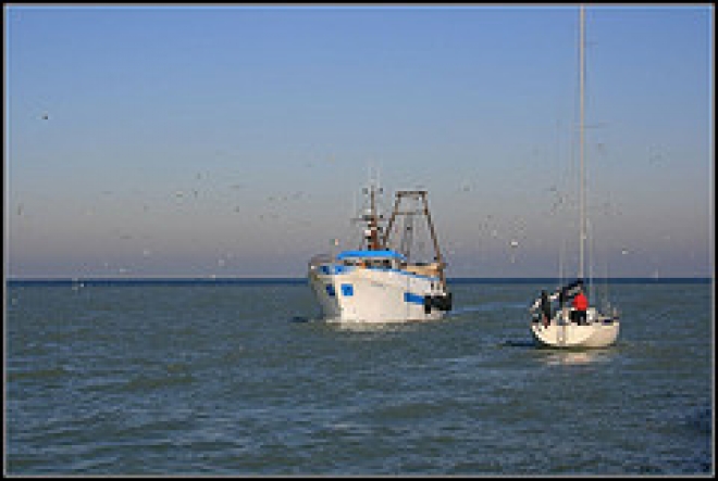 Manifestazione della nautica alla darsena di Rimini