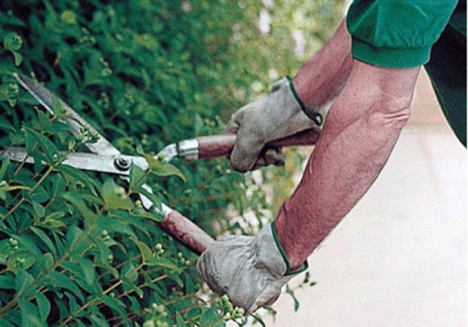 Manutenzione Verde Misano