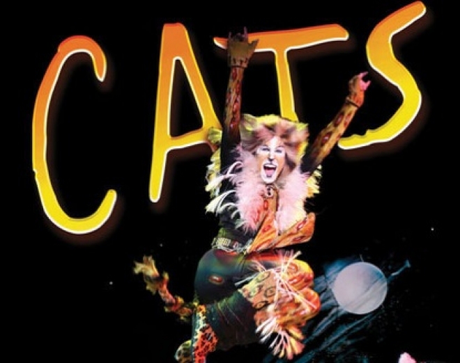 Musical Cats 105 Stadium Rimini