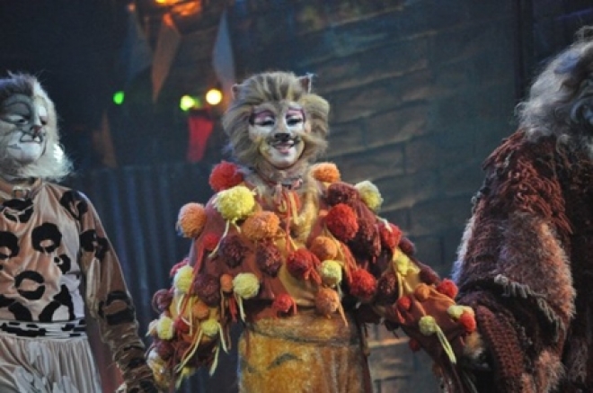 Musical Cats Rimini