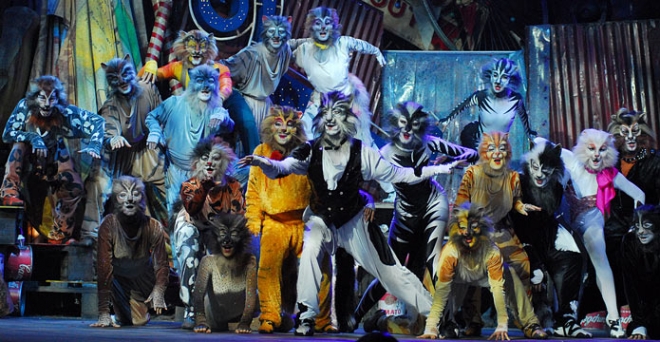 Musical Cats Rimini