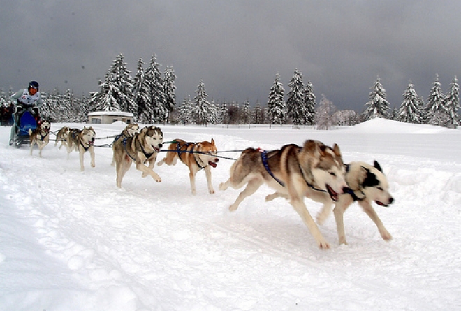 Neve e Natura nel Parco Nazionale