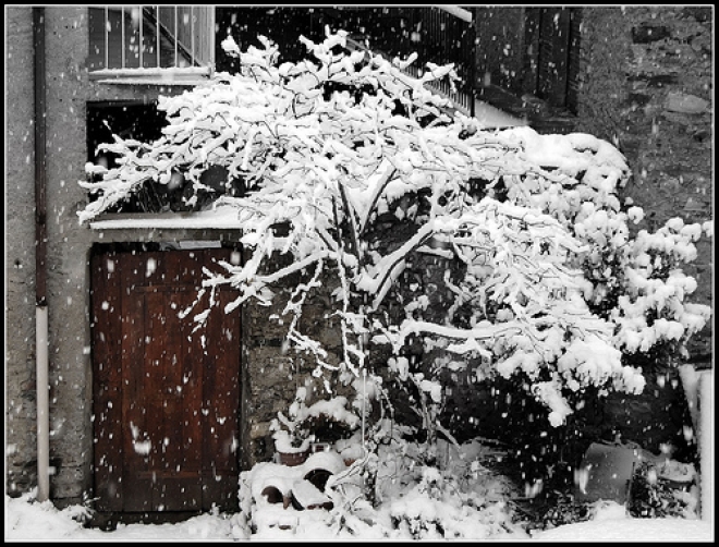 Neve in Campigna