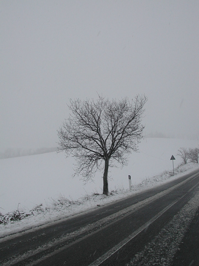 Nevicata Ancona