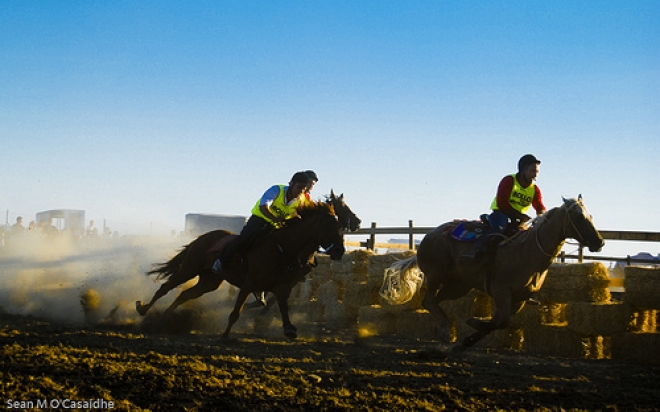 Palio della Quintana ad Ascoli 