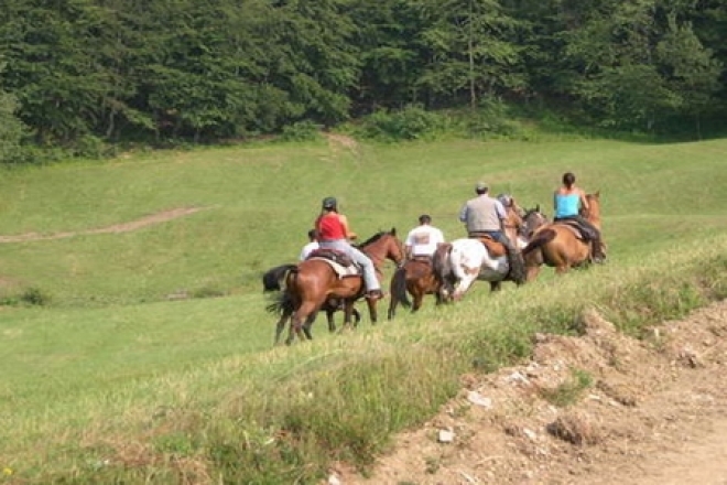 Palio Madonna Di Pugliano