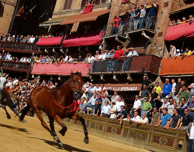 Palio Rosso Faenza