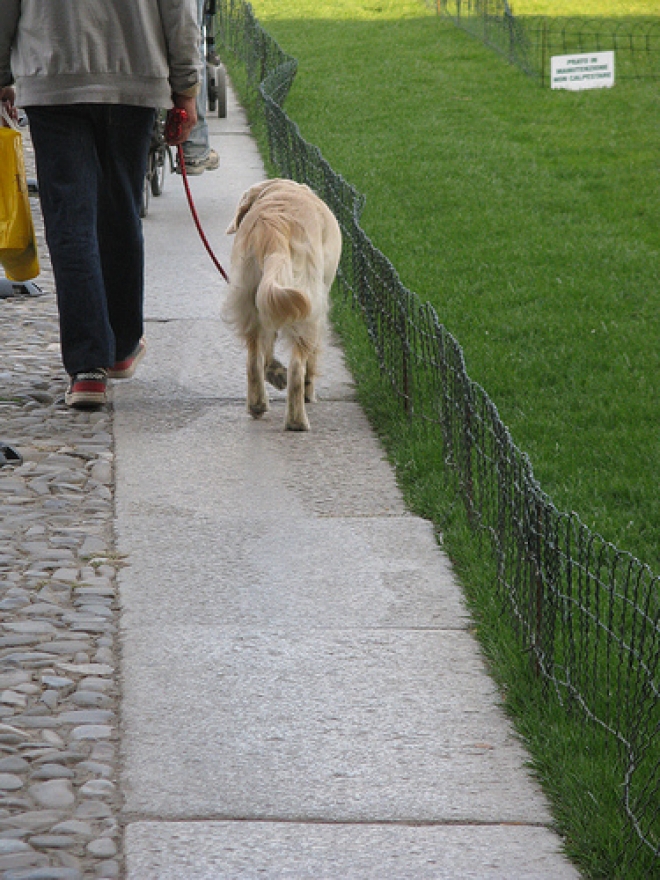 Progetto Pet Terapy a Castrocaro