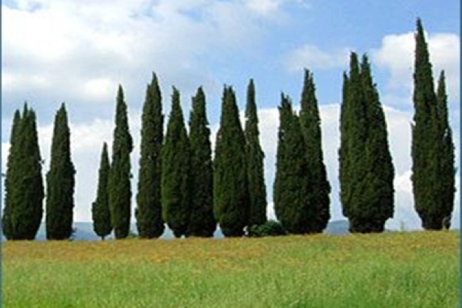 Ristrutturazione Cimiteri Rimini