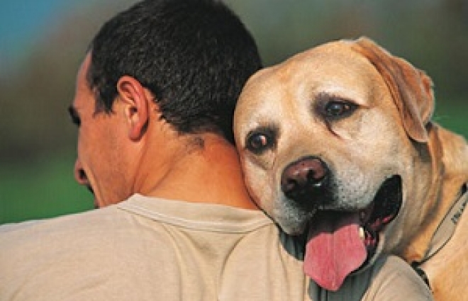 San Patrignano Adotta Un Cane