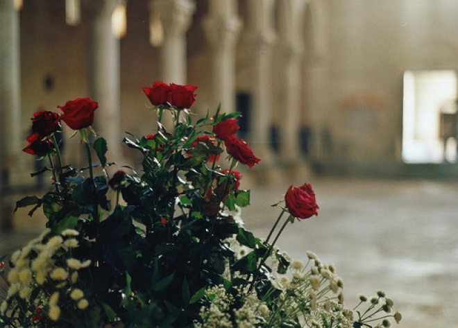 San Valentino in scena tra le risate