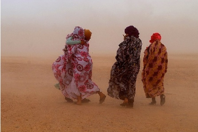 Secchiano Cena Bimbi Saharawi